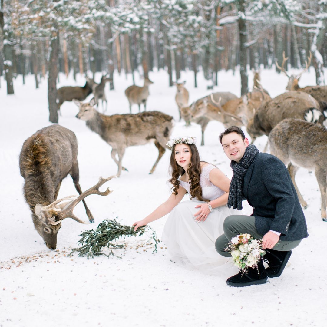 winter wedding